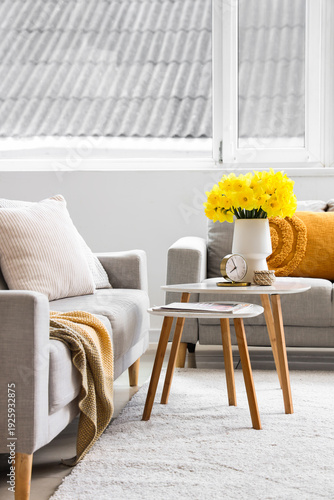 Comfortable sofas, coffee t...