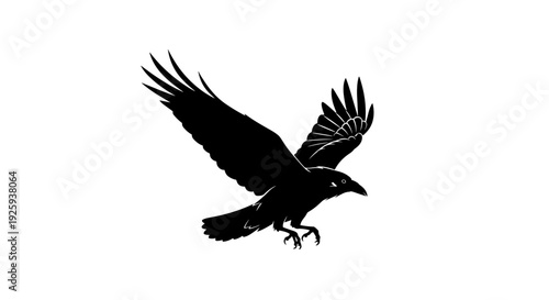 Black Bird Silhouette Flying in Air.