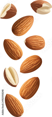 Wallpaper Mural almonds isolated on white background Torontodigital.ca
