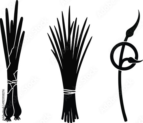 Fresh Herb Silhouette Set - Green Onion Chive Scape Vector