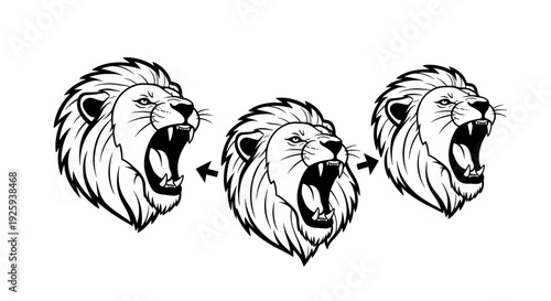 Lion Head Roaring Different Angles Illustration.