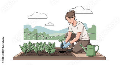 Man Planting Vegetable Seedlings in Garden Bed.