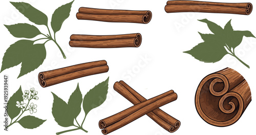 Detailed Cinnamon Sticks and Leaves Illustration with Close-Up View of Cinnamon Bark Texture