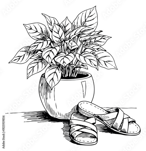 Hand drawn line art illustration of a potted plant and sandals depicting a relaxed indoor scene for home decor