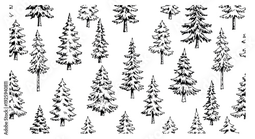 Hand drawn evergreen tree set featuring varied conifer shapes for winter holiday designs