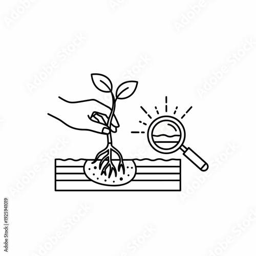 Planting a seed and studying a new plant. An illustration of a hand planting a plant, with a magnifying glass examining the roots