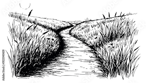 Hand drawn line art illustration of a winding path through tall grass depicting a rural summer landscape for nature concepts
