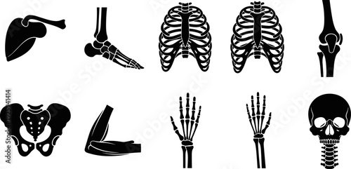 Human Skeletal System Black Silhouette Vector Set, Anatomy Bones of Skull, Rib Cage, Pelvis, and Joints Graphics, Medical Science and Orthopedics Health Illustration Icons.