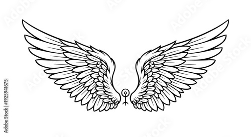 Pair of Angel Wings Illustration Design.