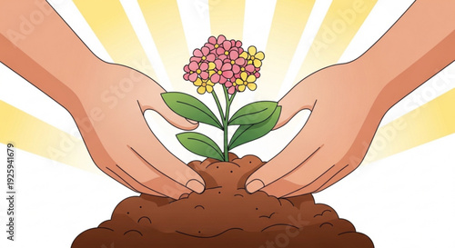 Hands nurturing a small flowering plant with pink and yellow blooms in brown soil with sun rays