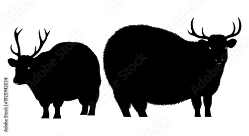 Silhouette of two horned animals one significantly larger and rounder than the other showcasing contrast and scale