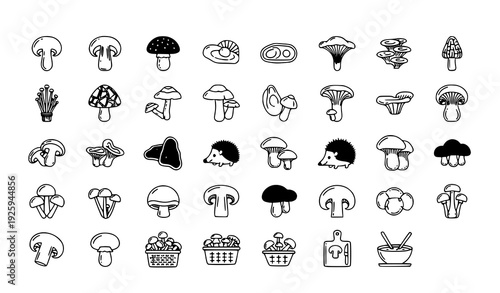Edible Mushrooms Flat Line Icon Set 30 Pixel Perfect Forest and Culinary Vector Pictograms