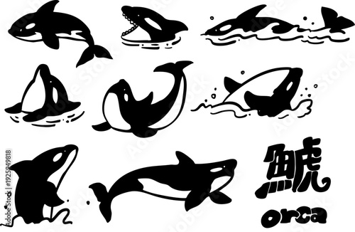 シャチの線画　シンプルイラストセット