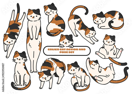 三毛猫の仕草と表情の詰め合わせセット / Calico Cat Action and Pose Set