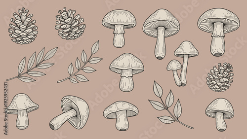 Vintage Botanical Illustration of Mushrooms and Pine Cones