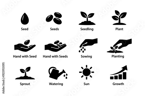 Simple plant growth icons: seed to growth process demonstration