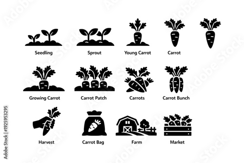 Carrot growth stages and farm icons: seedling to market