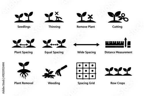 Gardening techniques: plant thinning, spacing, removal, cutting, and weeding icons