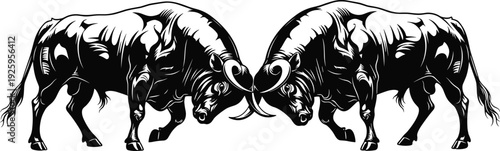 Two aggressive bulls clashing horns symmetrical silhouettes isolated on white background, powerful livestock vector illustration design