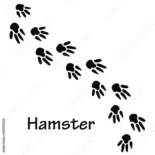 Hamster Footprint Paw Print Icon Set – Cute Small Rodent Track Silhouette Vector Collection
