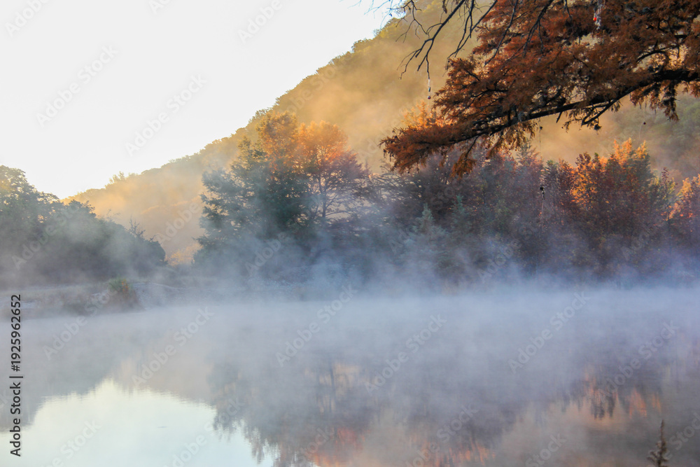 Fototapeta premium A misty morning in the woods with a lake in the background