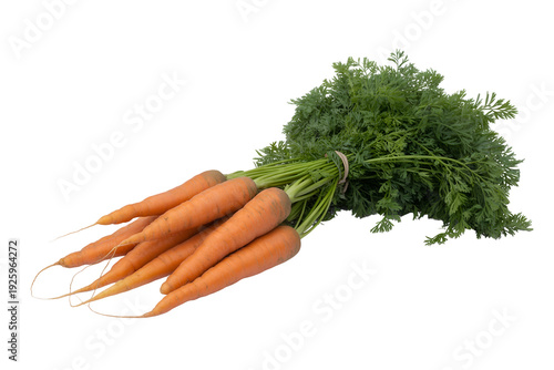 Freshly harvested bunch of vibrant orange carrots with green leafy tops