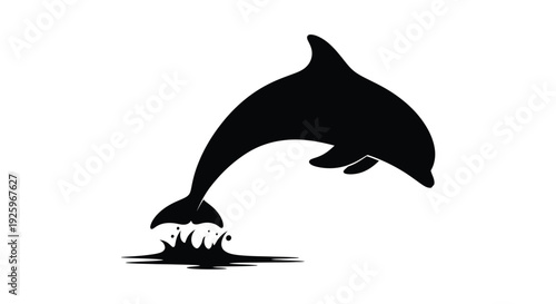 Striking black and white vector graphic illustration depicts a graceful dolphin leaping dynamically out of the water surface with splashes