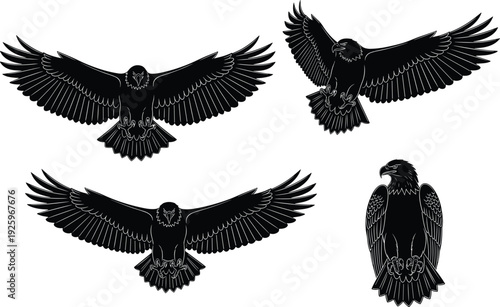 Eagle silhouettes set with flying and perched poses isolated on white background, detailed black bird of prey vector illustration collection for wildlife and tattoo design