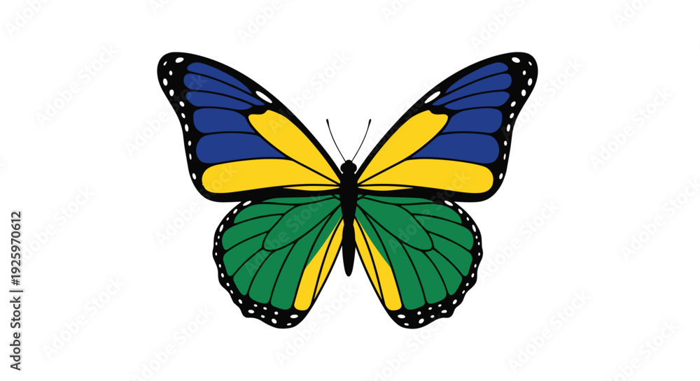 Obraz premium Colorful Butterfly with Vibrant Wing Patterns.