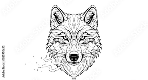 Detailed black and white wolf head illustration 1.