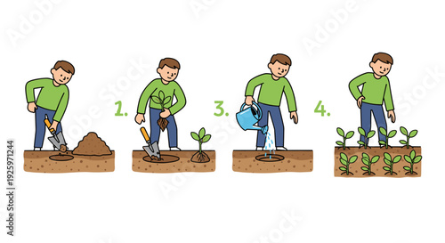 Man Planting Seedlings in Four Steps.