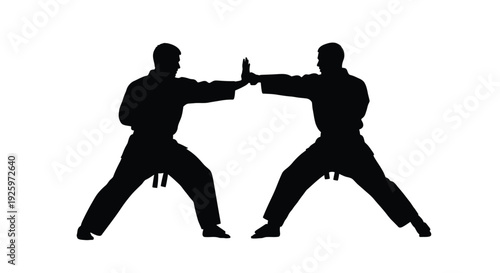 Two martial artists perform a precise block and attack maneuver in silhouette, demonstrating skill.