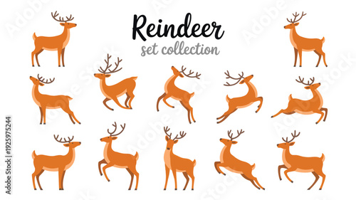 A collection of reindeer illustrations in various poses and actions on a clean background viewed from the side