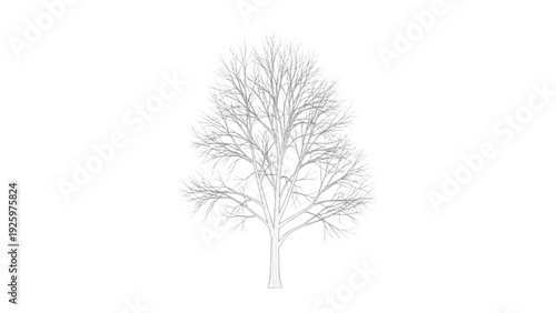Striking Minimalist Vector Illustration of a Bare Winter Tree with Detailed Branch Structure