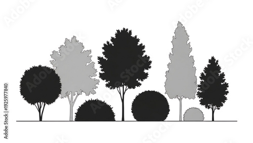 Diverse arrangement of trees and bushes in a landscape design