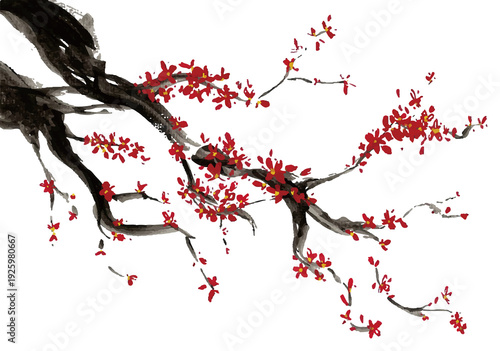 Minimalist Plum Blossom Branch with Red Flowers on White