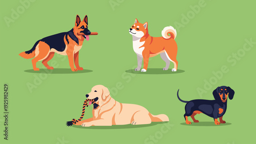 Cute dog breeds illustration set: German Shepherd, Shiba Inu, Golden Retriever, Dachshund in playful poses