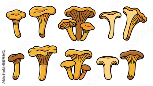 Chanterelle Mushroom Cartoon Illustration Set in Different Shapes