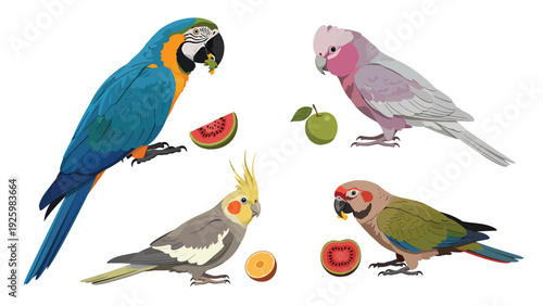 Vibrant parrot species with healthy fruit treats, vector illustration on white background
