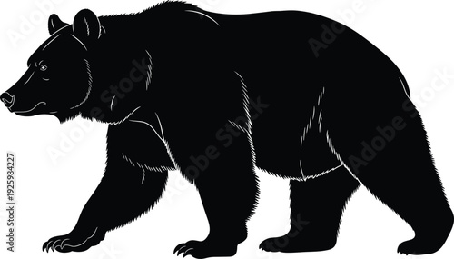 Black vector silhouette of a large grizzly bear walking in profile with detailed fur texture for wilderness wildlife nature and outdoor adventure themed designs (24 words)