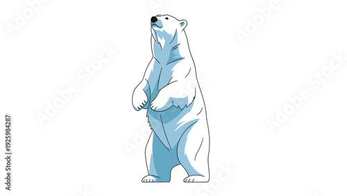 White polar bear standing upright and looking up. Cute arctic animal cartoon illustration on a clean white background.