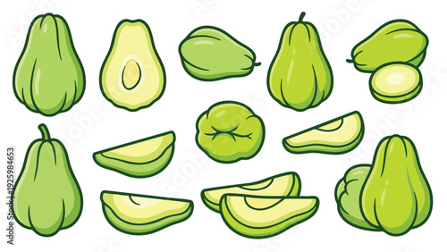 Chayote Squash Vector Collection with Whole and Sliced Pieces