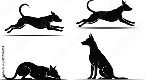 Black vector silhouette set of four dogs in various active poses including running jumping and sitting for canine pet training and security animal designs