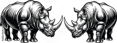 Detailed black and white vector sketch of two powerful rhinoceroses facing each other for wildlife conservation safari nature and african zoo animal themed designsDetailed black and white vector 