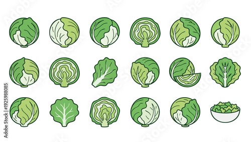 Iceberg Lettuce Icon Set with Whole Heads Leaves Slices and Salad Hand Drawn Vector