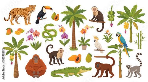 Jungle and Rainforest Animals, Plants, and Fruits Set - Tropical Wildlife Vector Illustrations