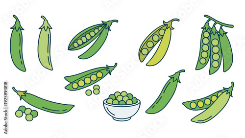 Green Pea Pods and Shelled Peas Vector Illustration Set
