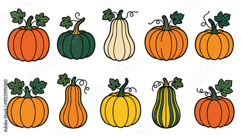 Pumpkin and Squash Collection with Different Shapes Colors Leaves and Vines Vector