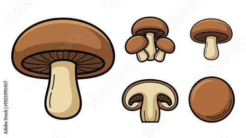 Portobello Mushroom Illustration Set with Whole and Cut Mushrooms Vector