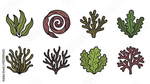 Seaweed Icons Vector Set